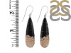 Petrified Wood Earring-E PTF-3-23