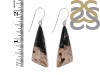 Petrified Wood Earring-E PTF-3-24