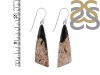 Petrified Wood Earring-E PTF-3-25