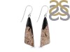 Petrified Wood Earring-E PTF-3-25