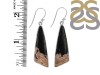 Petrified Wood Earring-E PTF-3-6