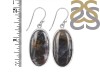 Russian Dendritic Agate Earring-E RDA-3-14
