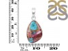 Oyster Turquoise Pendant-SP TRO-1-290