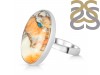 Oyster Turquoise-Adjustable Ring-ADJ-R TRO-2-252
