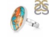 Oyster Turquoise-Adjustable Ring-ADJ-R TRO-2-270