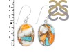 Oyster Turquoise Earring-E TRO-3-1