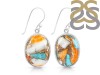 Oyster Turquoise Earring-E TRO-3-1