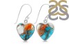 Oyster Turquoise Earring-E TRO-3-12