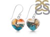 Oyster Turquoise Earring-E TRO-3-14