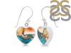 Oyster Turquoise Earring-E TRO-3-14