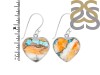 Oyster Turquoise Earring-E TRO-3-20