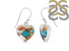 Oyster Turquoise Earring-E TRO-3-21
