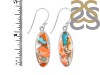 Oyster Turquoise Earring-E TRO-3-23