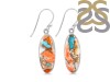 Oyster Turquoise Earring-E TRO-3-23