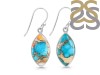 Oyster Turquoise Earring-E TRO-3-24
