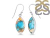 Oyster Turquoise Earring-E TRO-3-24