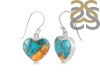 Oyster Turquoise Earring-E TRO-3-27