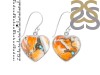 Oyster Turquoise Earring-E TRO-3-29