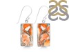 Oyster Turquoise Earring-E TRO-3-3