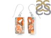 Oyster Turquoise Earring-E TRO-3-3