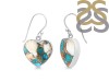 Oyster Turquoise Earring-E TRO-3-30