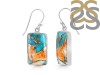 Oyster Turquoise Earring-E TRO-3-31