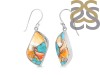 Oyster Turquoise Earring-E TRO-3-33