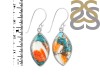 Oyster Turquoise Earring-E TRO-3-34