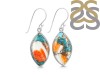 Oyster Turquoise Earring-E TRO-3-34