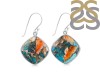 Oyster Turquoise Earring-E TRO-3-35
