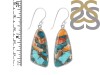 Oyster Turquoise Earring-E TRO-3-36