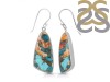 Oyster Turquoise Earring-E TRO-3-36