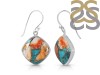 Oyster Turquoise Earring-E TRO-3-38