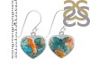 Oyster Turquoise Earring-E TRO-3-41