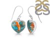 Oyster Turquoise Earring-E TRO-3-41