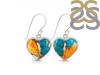 Oyster Turquoise Earring-E TRO-3-44