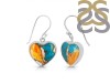 Oyster Turquoise Earring-E TRO-3-44