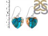 Oyster Turquoise Earring-E TRO-3-56