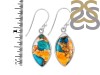Oyster Turquoise Earring-E TRO-3-59