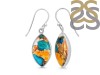 Oyster Turquoise Earring-E TRO-3-59