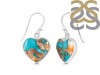 Oyster Turquoise Earring-E TRO-3-6