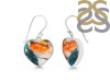 Oyster Turquoise Earring-E TRO-3-60
