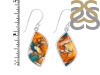 Oyster Turquoise Earring-E TRO-3-61