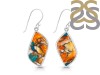 Oyster Turquoise Earring-E TRO-3-61