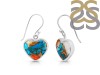 Oyster Turquoise Earring-E TRO-3-64