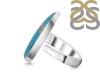 Turquoise Adjustable Ring-ADJ-R TRQ-2-274