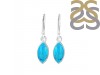 Turquoise Earring TRQ-RDE-1019.