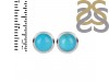 Turquoise Stud Earring TRQ-RDE-1073.