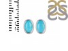Turquoise Stud Earring TRQ-RDE-1108.