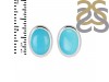 Turquoise Stud Earring TRQ-RDE-1113.